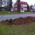 All my leaves by the curb awaiting pick-up.