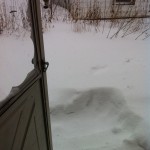 Outside my side porch door!