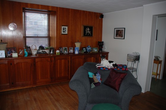 Living Room after (with Chloe).